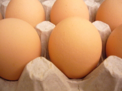 Что мы знаем о яйцах и как их легче почистить? 